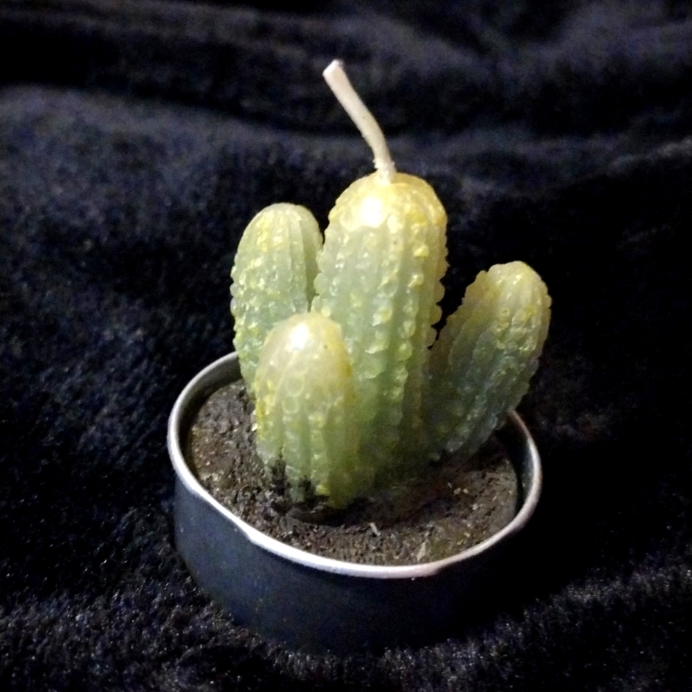 Cactus Candle